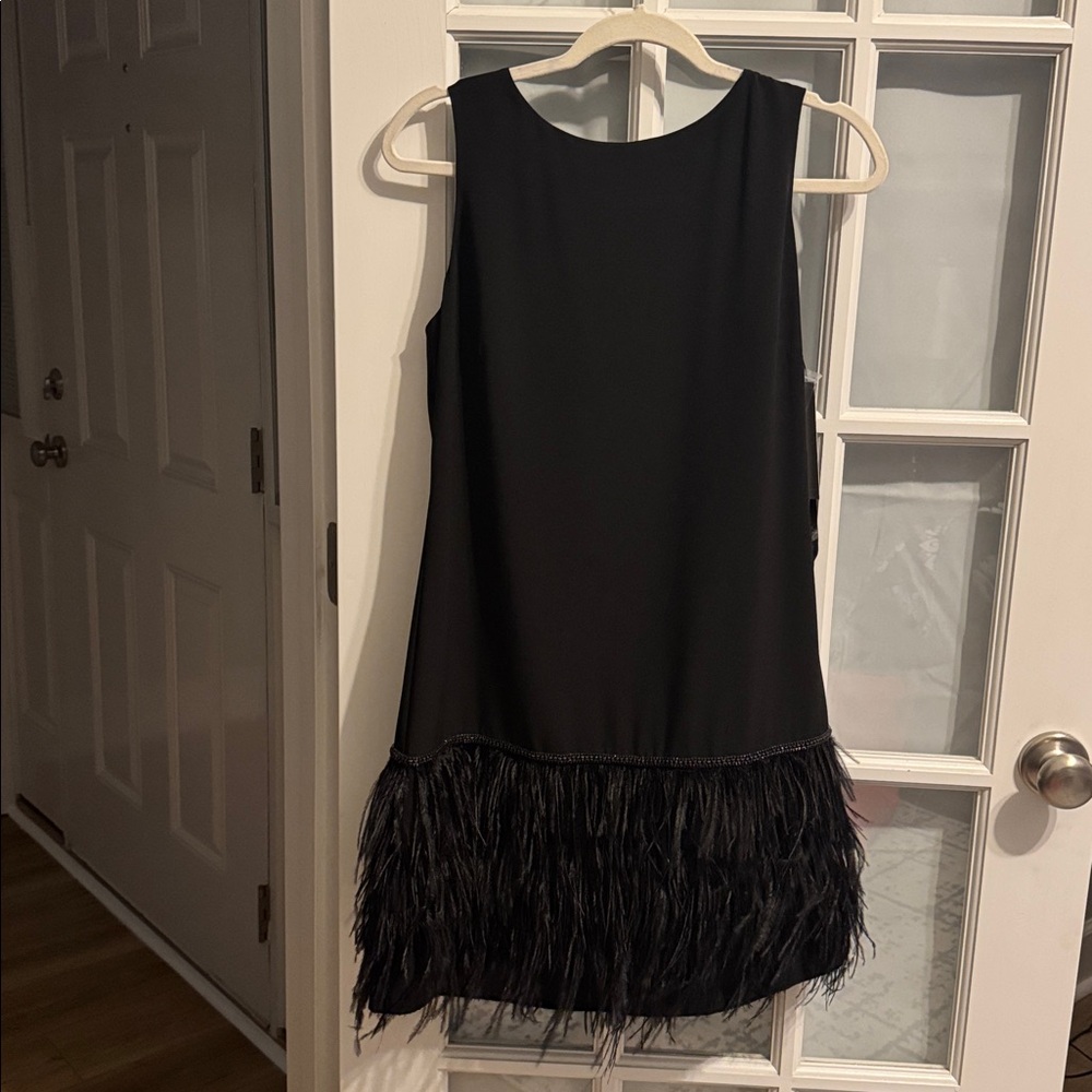 Black Sleeveless Dress with Feather Hem